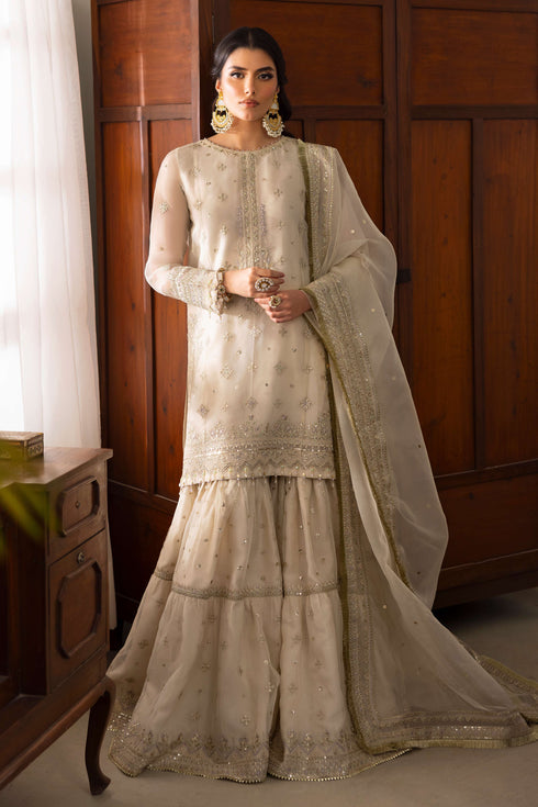 NAQSHI Jeena organza dupatta draped fully, displaying chunky embroidered 4-sided border finished with kiran lace and all-over sequin spray.